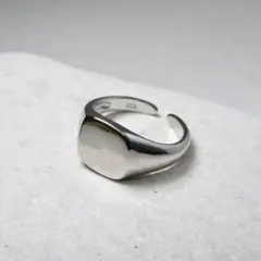SERN Vein Signet Ring 9号 - メルカリ