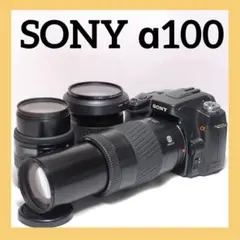 2025年最新】sony α57の人気アイテム - メルカリ