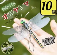 2026年最新】トンボ標本の人気アイテム - メルカリ