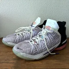 NIKE LEBRON XVIII LOW レブロン18 未使用　27㎝ ナイキ ☆ レブロン18 ☆ NIKE LEBRON 18 LOW Basketball UNISEX