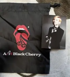 Acid black cherry トレカセット(36枚) Acid black cherry トレカセット(36枚) Acid Black Cherry
