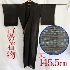 着物　夏の着物　シースルー　透け感あり　黒　花柄　145.5　昭和レトロのサムネイル