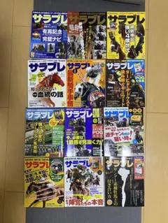 Item thumbnail for item 268fe070-9077-48e4-a411-fd9943b7dc10