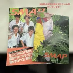 稲村ジェーン ポスター 桑田佳祐 サザンオールスターズ 当時物 未使用 レア 稲村ジェーン ポスター 桑田佳祐 サザンオールスターズ 当時物 未使用