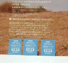 日向坂46 坂井新奈 直筆チェキ 日向坂46 坂井新奈 直筆チェキ 坂井新奈 直筆サイン入りチェキ応募