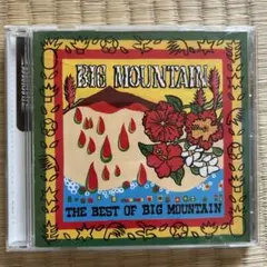 レア　BIG MOUNTAIN ／THE BEST OF