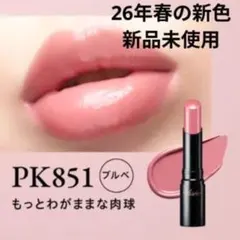 VISEEネンマクフェイクルージュ②　PK851 新品未使用