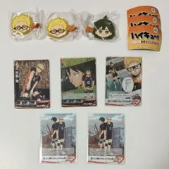 ハイキュー 月島蛍 山口忠