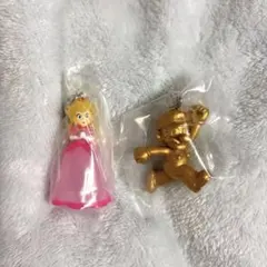 スーパーマリオ　めじるしアクセサリー2 ピール姫・シークレット