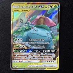 セレビィ&フシギバナGX RR sm9 セレビィアンドフシギバナのサムネイル