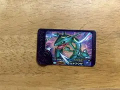 ポケモン　フレンダ　レックウザ