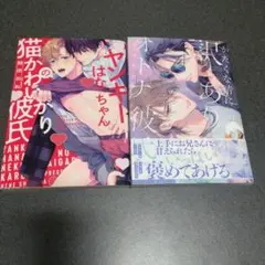 Item thumbnail for item 9c257cff-efe0-47c2-a9ac-855745f58700