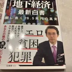 日本の「地下経済」最新白書 闇に蠢く26.5兆円の真実