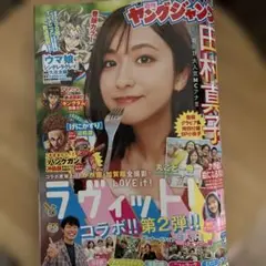 ヤングジャンプ 田村真子特集号　ラヴィット