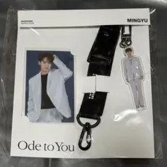 SEVENTEEN Ode to you ランヤードトレカセット ミンギュ