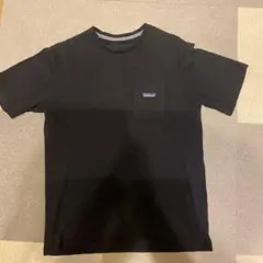 Patagonia Tシャツ
