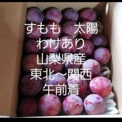 5すもも　太陽　わけあり　箱こみ3.5キロ　山梨県産　午前着のサムネイル
