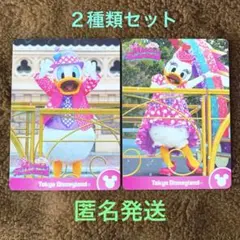 ミニパル　ファンダーランド　コレクションカード　ドナルド　デイジー