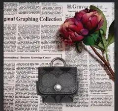 コーチ COACH AirPodsケース ケース シグネチャー キャンバス コーチ COACH コーチ イヤホンケース COACH アウトレット
