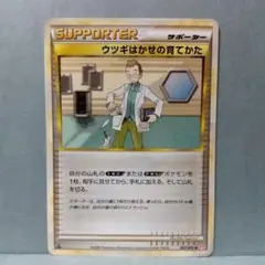 2025年最新】ウツギはかせの育て方の人気アイテム - メルカリ