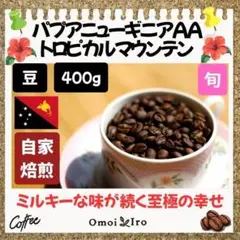 自家焙煎 コーヒー豆 パプアニューギニアAA トロピカルマウンテン豆400g