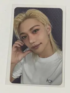 straykids do it 封入 トレカ フィリックス アコーディオン