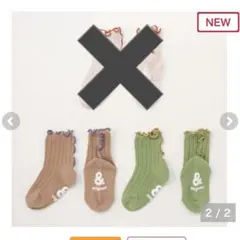 &mignon 靴下　バースデイ