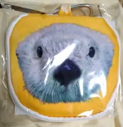 カプくじ×鳥羽水族館 ラッコのメイちゃんくじ リターンズ！ 収納できる