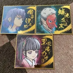 鬼滅の刃 ビジュアル色紙コレクション 栗花落カナヲ 嘴平伊之助 鱗滝左近次