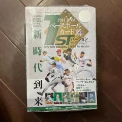 Item thumbnail for item 336b5c54-0405-4f52-bec0-4424de22621e