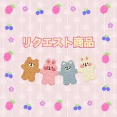 まーな ※12月中旬から春発送遅いです様 リクエスト 2点 まとめ商品