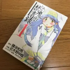 とある魔術の禁書目録 1/近木野 中哉, 鎌池 和馬