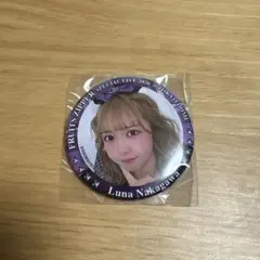 FRUITSZIPPER 仲川瑠夏 缶バッジ 東京ドーム スペシャルライブ