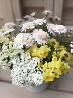 2026年最新】パンジーの人気アイテム - メルカリ