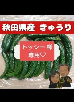 トッシー 様 専用(*^^*)