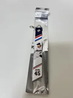 東京ヤクルトスワローズ 小澤怜史 ファン感謝デーボンフィン