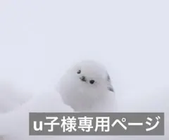 u子様専用ページ