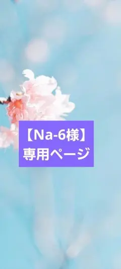 【Na-6様】3点