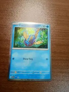 ポケモンカード　ポケカ　キバニア 　プロモ　 海外限定　英語版　正規品