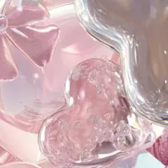 ひめたんの隠しミートボール様 リクエスト 2点 まとめ商品