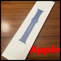 Apple Watch 40mm Alaskan Blue Sport Band