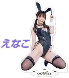えなこ バニーガール アクリルスタンド えなこアクスタ えなこりん