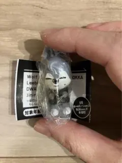 ウルフチャン　スキズ　ガチャ　カニカンタイプ