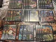 デュエマ 緑単キャベッジ 緑単キャベツ デッキ cs優勝 - メルカリ