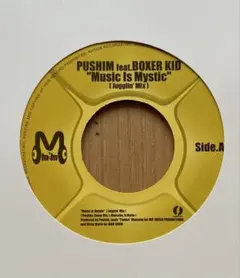 PUSHIM 韻シスト DON' T STOP CD ジャパレゲ REGGAE - メルカリ
