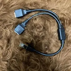 Item thumbnail for item ebbcc5e0-a24d-4711-abaa-4e9399e2ac0c