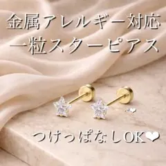 【ネジ式】一粒ピアス　スター　星　金属アレルギー対応　【上品】