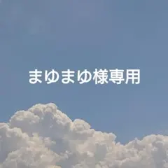 マルチケース＊Sサイズ＊お薬手帳・通帳・母子手帳《ネモフィラ⑦》のサムネイル