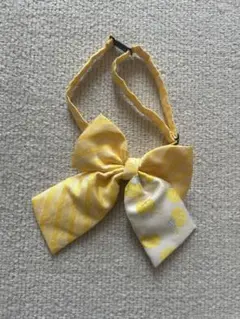 Item thumbnail for item b2f1f6f7-16ba-497a-a2da-6c211d39db91