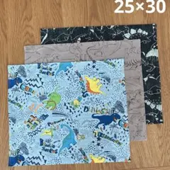 ランチョンマット25×30 恐竜３枚セット